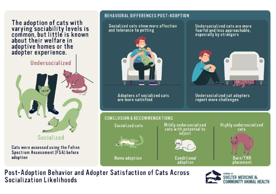 Thumbnail for The Impact Of Lack Of Socialisation In Maintaining Cat'S Lifespan.