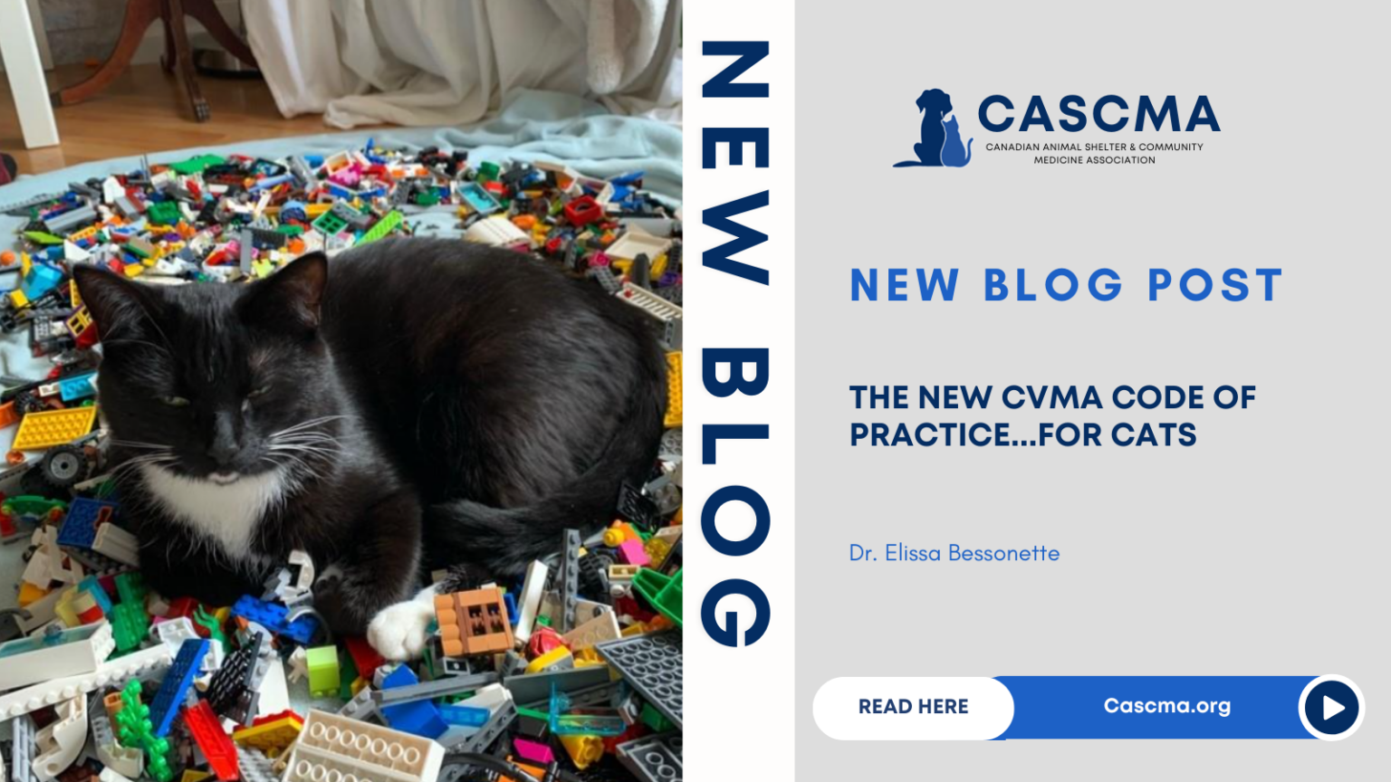 The New CVMA Code of Practice…for Cats - Canadian Animal Shelter ...